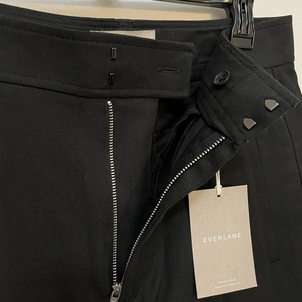 Everlane “Way High Drape Pant”